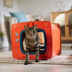 Frisco TV Set Cardboard Cat House -Cat Supplies 317731 PT4. AC SS1800 V1688677247