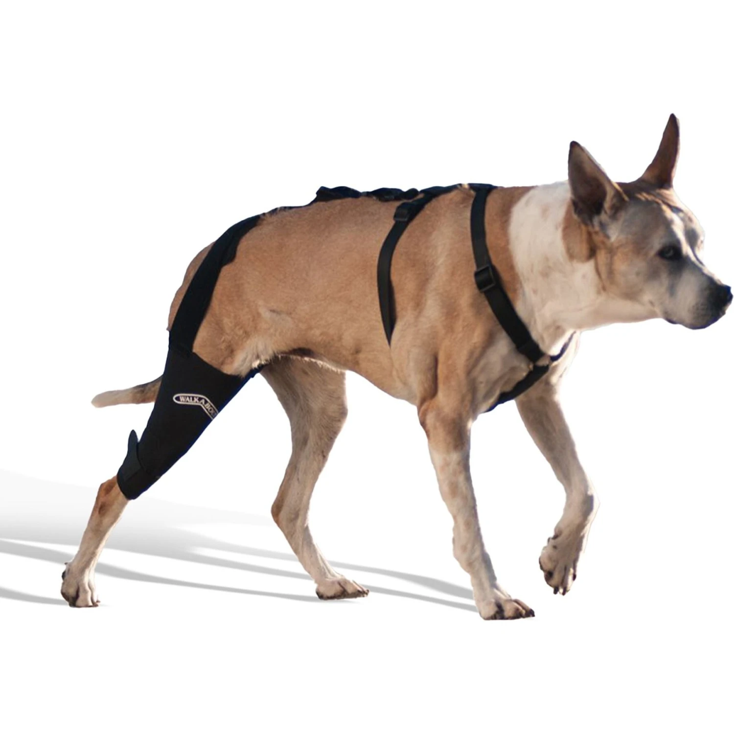 WALKABOUT Dog & Cat Knee Brace 1 WALKABOUT Dog & Cat Knee Brace