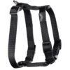 WALKABOUT Chest Halter Adjustable Dog & Cat Harness, Black