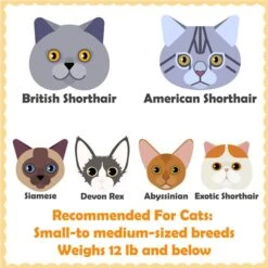 Yaheetech 63.5-in Plush Cat Tree & Condo 11 Yaheetech 63.5-in Plush Cat Tree & Condo -Cat Supplies 325702 PT2. AC SS1800 V1686153350