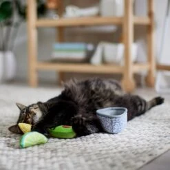 Frisco Guacamole Bowl Cat Toy With Catnip, Medium, 4 Count -Cat Supplies 327059 PT3. AC SS1800 V1645205519