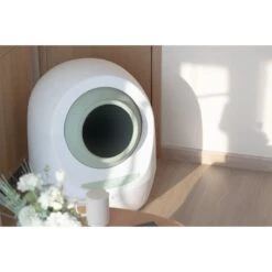 Casa Leo Leo's Loo Too Wifi Enabled Cat Litter Box 15 Casa Leo Leo's Loo Too Wifi Enabled Cat Litter Box -Cat Supplies 329393 PT6. AC SS1800 V1631778467