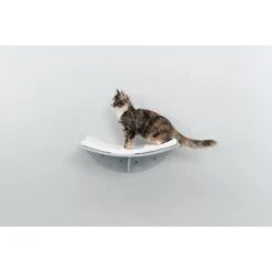 TRIXIE Lea Wall Mounted Cat Bed, X-Large -Cat Supplies 333737 PT2. AC SS1800 V1634074890
