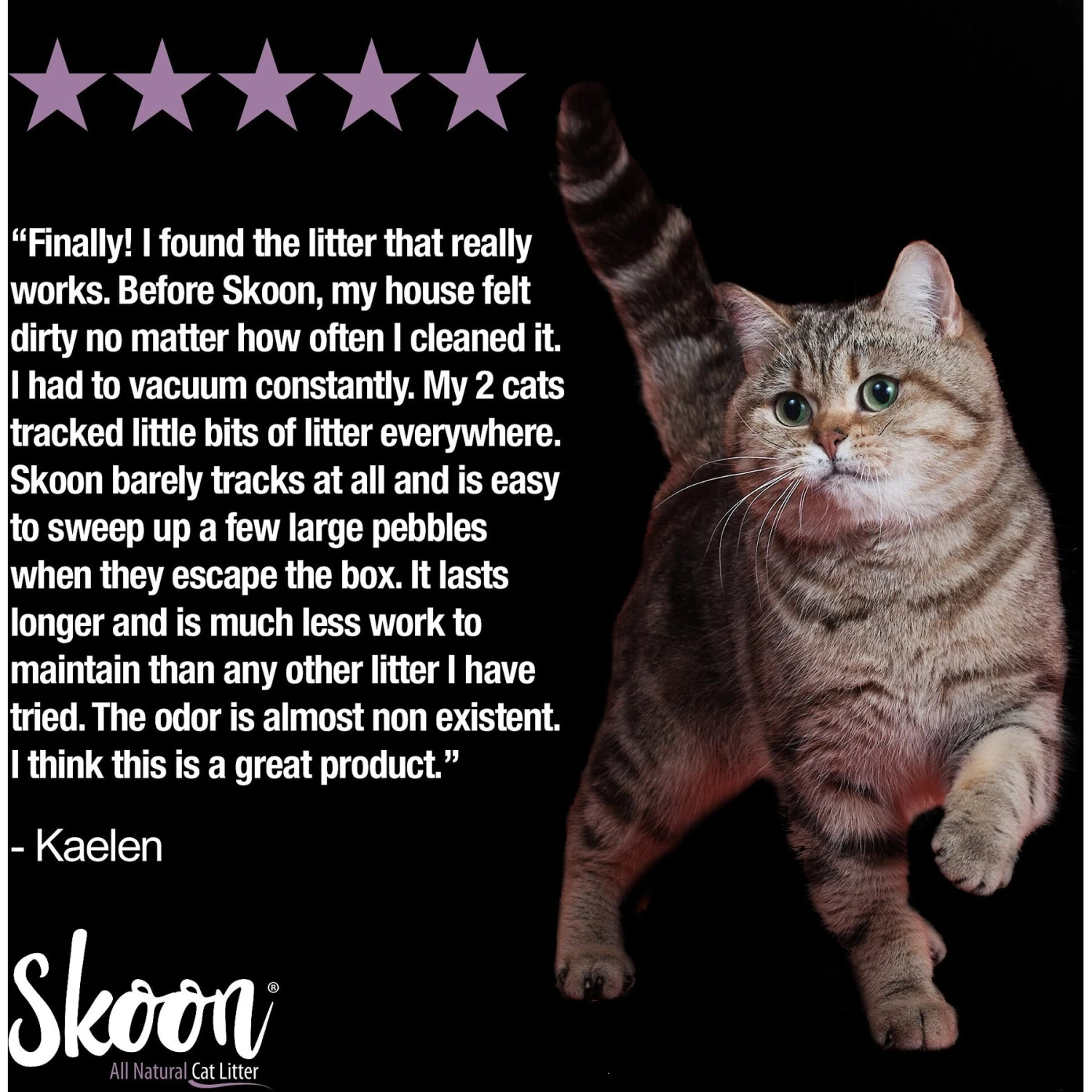 Skoon All Natural Lavender Scented Non-Clumping Cat Litter, 8-lb Bag 5 Skoon All Natural Lavender Scented Non-Clumping Cat Litter, 8-lb Bag - Image 5