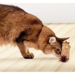 Litterbox.com Cork Chicken Cat Toy -Cat Supplies 334220 PT2. AC SS1800 V1648614384