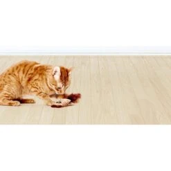 Litterbox.com Cork Panda Cat Toy -Cat Supplies 334228 PT2. AC SS1800 V1633636885