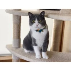 Necoichi Yukata Bow Tie Breakaway Cat Collar -Cat Supplies 335345 PT8. AC SS1800 V1644907617