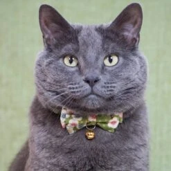 Necoichi Hanami Bow Tie Breakaway Cat Collar -Cat Supplies 335355 PT5. AC SS1800 V1644903433