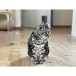 Necoichi Hanami Bow Tie Breakaway Cat Collar -Cat Supplies 335355 PT6. AC SS1800 V1644911837