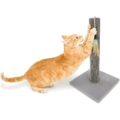 SmartyKat Simply Scratch Carpet Cat Scratch Post With Feather Cat Toy -Cat Supplies 336393 PT4. AC SS1800 V1634310219