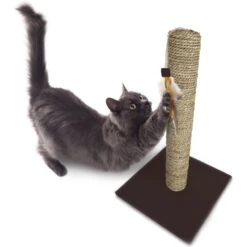 SmartyKat Simply Scratch Seagrass Cat Scratch Post With Feather Cat Toy -Cat Supplies 336395 PT4. AC SS1800 V1634309494