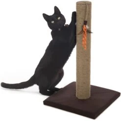 SmartyKat Simply Scratch Jute Cat Scratch Post With Feather Cat Toy 10 SmartyKat Simply Scratch Jute Cat Scratch Post With Feather Cat Toy -Cat Supplies 336397 PT4. AC SS1800 V1634309564