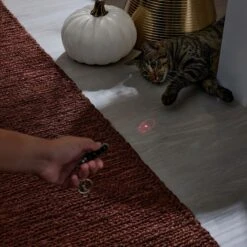 Frisco Halloween Skull Laser Cat Toy -Cat Supplies 344068 PT3. AC SS1800 V1659279988