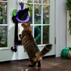 Frisco Halloween Witch Doorknob Hanger Cat Toy With Catnip -Cat Supplies 344092 PT3. AC SS1800 V1657657035