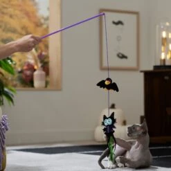 Disney Villains Maleficent & Raven Teaser Wand Cat Toy With Catnip 5 Disney Villains Maleficent & Raven Teaser Wand Cat Toy With Catnip -Cat Supplies 344525 PT3. AC SS1800 V1657657088