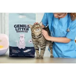 Alpha Paw Genius Litter With Health Indicator Cat Litter, 6-lbs -Cat Supplies 344555 PT2. AC SS1800 V1667331285