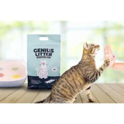 Alpha Paw Genius Litter With Health Indicator Cat Litter, 6-lbs -Cat Supplies 344555 PT7. AC SS1800 V1667331826
