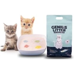 Alpha Paw Genius Litter With Health Indicator Cat Litter, 6-lbs -Cat Supplies 344555 PT8. AC SS1800 V1667333254