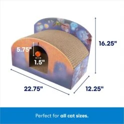 Pixar Coco Marigold Bridge Scratcher Cat Toy -Cat Supplies 344557 PT1. AC SS1800 V1689877949