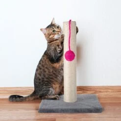 Pet Adobe 17-in Sisal Cat Scratching Post With Toy -Cat Supplies 345033 PT4. AC SS1800 V1637288193