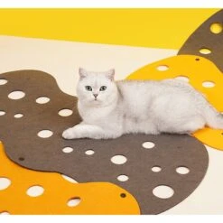 ZEZE "The Cheese" Adjustable Tunnel Cat Toy -Cat Supplies 347443 PT5. AC SS1800 V1657657091