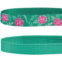 Blueberry Pet The Power Of All In One Stunning Plum Adjustable Breakaway Cat Collar With Bell, 2 Count -Cat Supplies 354270 PT5. AC SS1800 V1639503422