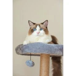 Catry 42.1-in Oak 7-Level Cat Tree With Jute Scratching Posts & Cozy Hammock -Cat Supplies 354549 PT3. AC SS1800 V1640317313