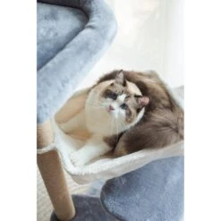 Catry 42.1-in Oak 7-Level Cat Tree With Jute Scratching Posts & Cozy Hammock -Cat Supplies 354549 PT4. AC SS1800 V1640317623