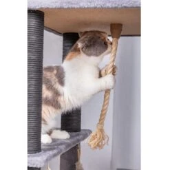 Catry Interactive 7-Level Cat Tree With Condo, Scratching Posts, & Toys -Cat Supplies 354554 PT7. AC SS1800 V1640317612