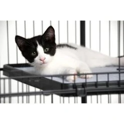 Prevue Pet Products Cat Cage Replacement Shelf -Cat Supplies 354652 PT2. AC SS1800 V1662060477
