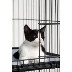 Prevue Pet Products Cat Cage Replacement Shelf -Cat Supplies 354652 PT3. AC SS1800 V1662065985