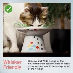 Necoichi Extra Wide Raised Cat Food Bowl -Cat Supplies 357119 PT2. AC SS1800 V1657657126