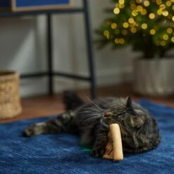 Frisco Holiday Santa's List Plush & Feather Cat Toy With Catnip -Cat Supplies 360895 PT3. AC SS1800 V1661874361