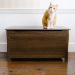 Designer Pet Products Parker Designer Wood Catbox Furniture Litter Box Enclosure, 36-in -Cat Supplies 362058 PT5. AC SS1800 V1643214398