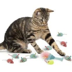 SmartyKat Tropical Time Catnip Cat Toy Variety Pack, Skitter Mice & Catnip Martini, Pink, Small, 9 Count -Cat Supplies 362936 PT2. AC SS1800 V1694027438