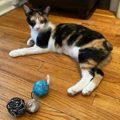 Meowijuana Get Rocked String Of Stones Plush Cat Toy With Catnip -Cat Supplies 363608 PT5. AC SS1800 V1643906483