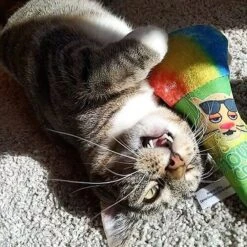 Meowijuana Get Chilled Snowcone Refillable Plush Cat Toy With Catnip 8 Meowijuana Get Chilled Snowcone Refillable Plush Cat Toy With Catnip -Cat Supplies 363614 PT2. AC SS1800 V1643906781