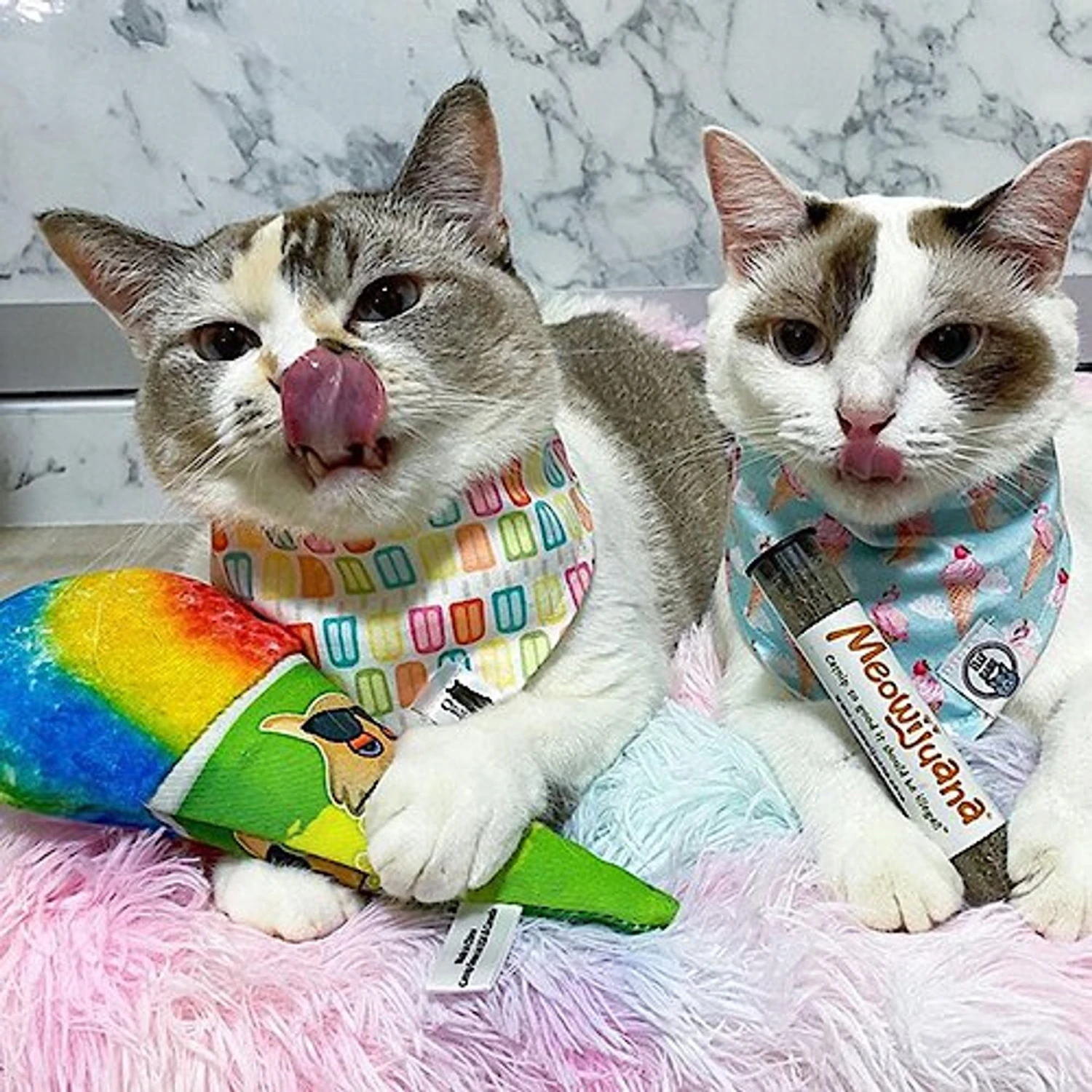 Meowijuana Get Chilled Snowcone Refillable Plush Cat Toy With Catnip 5 Meowijuana Get Chilled Snowcone Refillable Plush Cat Toy With Catnip - Image 5