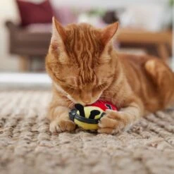 Frisco Valentine Jammin' Ladybug Plush Cat Toy With Catnip -Cat Supplies 371081 PT3. AC SS1800 V1668736252