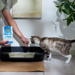 Dr. Elsey's Precious Cat Ultra Litter Attractant 7 Dr. Elsey's Precious Cat Ultra Litter Attractant -Cat Supplies 47187 PT4. AC SS1800 V1680789681