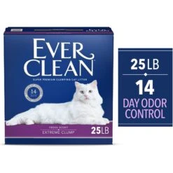 Ever Clean Lightly Scented Clumping Clay Cat Litter