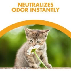 Feline Pine Original Non-Clumping Wood Cat Litter 12 Feline Pine Original Non-Clumping Wood Cat Litter -Cat Supplies 47407 PT3. AC SS1800 V1663797194