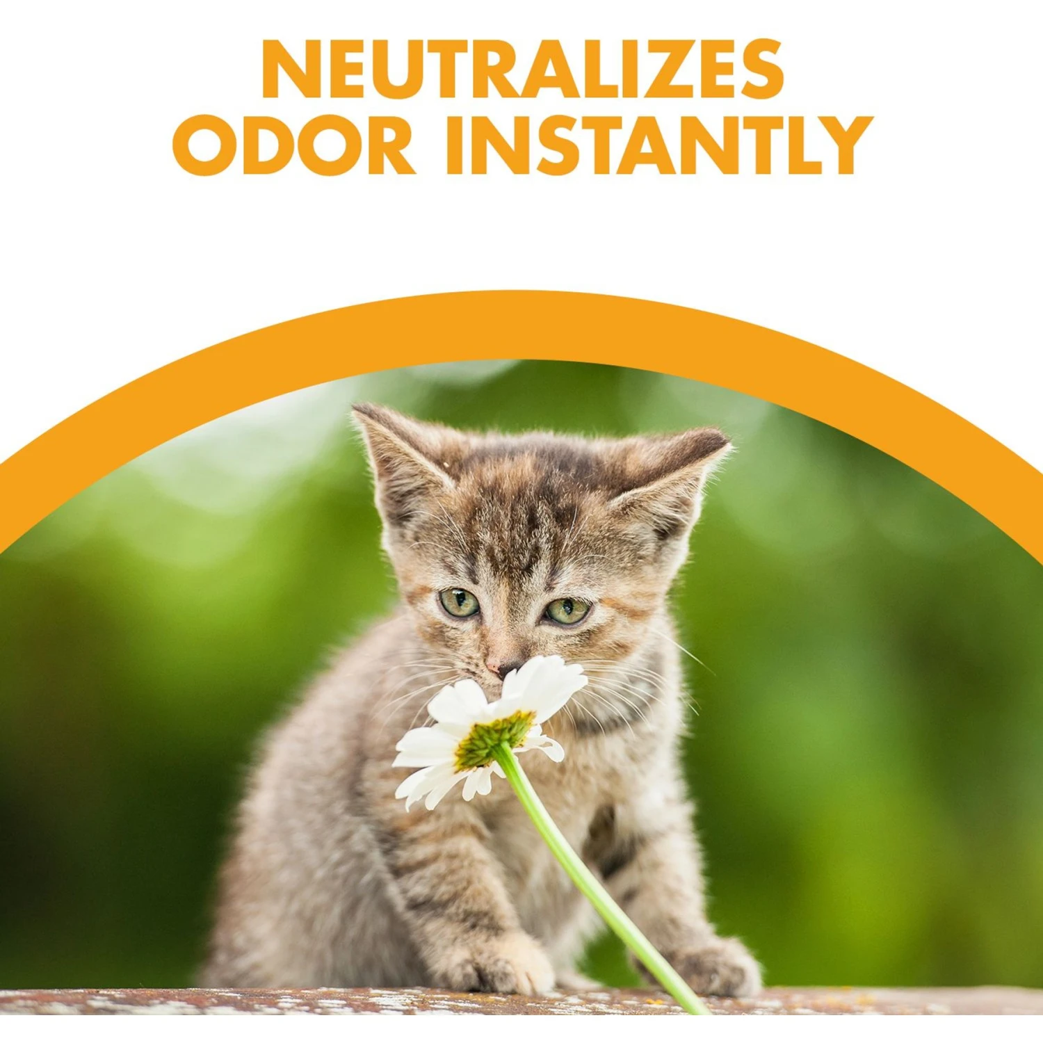 Feline Pine Original Non-Clumping Wood Cat Litter 4 Feline Pine Original Non-Clumping Wood Cat Litter - Image 4