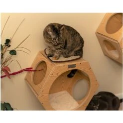 Armarkat Real Wood Cat Wall Additions, Natural Beige, 2 Count -Cat Supplies 515630 PT5. AC SS1800 V1649349399