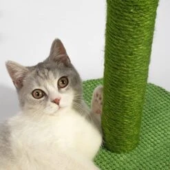 Lovely Caves 23.6-in Cactus Cat Scratching Post. Green, Large -Cat Supplies 525702 PT2. AC SS1800 V1658219856