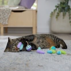Frisco Fabric & Play Plastic Balls Cat Toy -Cat Supplies 526030 PT3. AC SS1800 V1669148132