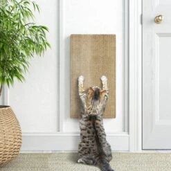 Way Basics Katwall Wall Scratching Post With Catnip 6 Way Basics Katwall Wall Scratching Post With Catnip -Cat Supplies 530558 PT3. AC SS1800 V1652769688