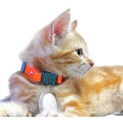 Kittyrama Kitten Breakaway Adjustable With Bell Cat Collar -Cat Supplies 534390 PT2. AC SS1800 V1652979984