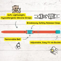 Kittyrama Kitten Breakaway Adjustable With Bell Cat Collar -Cat Supplies 534390 PT3. AC SS1800 V1657658786
