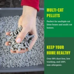 Fresh News Non-Clumping Scented Paper Cat Litter, 25-lb Bag 12 Fresh News Non-Clumping Scented Paper Cat Litter, 25-lb Bag -Cat Supplies 539206 PT3. AC SS1800 V1667517974